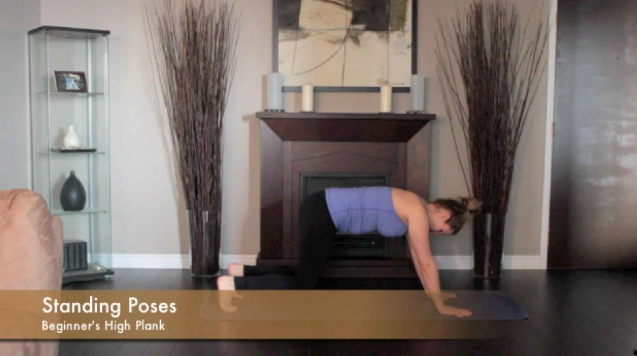 Beginner High Plank